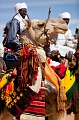 _42I5033_FICSA 2016_Pascal_Lahure